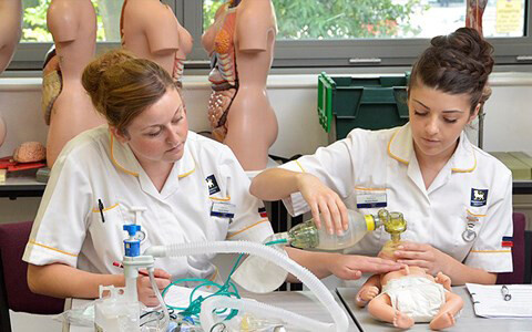 What schools offer midwifery courses online?