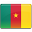 Flag of Cameroon