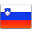 The flag of Slovenia Flag of Slovenia